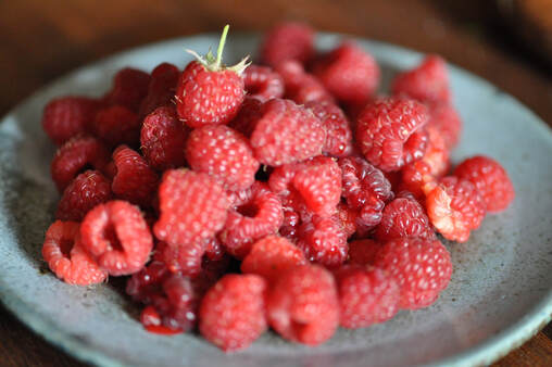 Picture of fresh berries from the garden