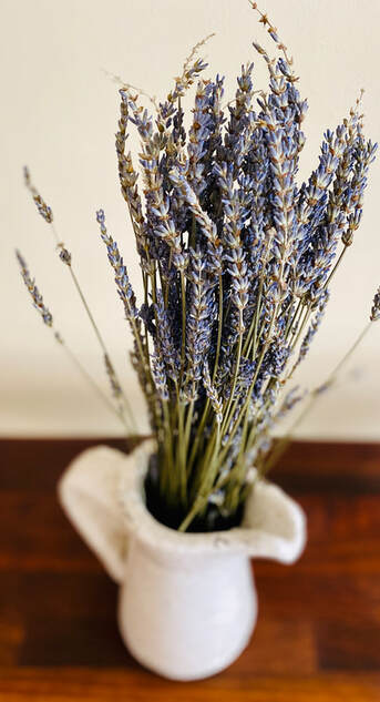 Lavender; photo by Ranelle
